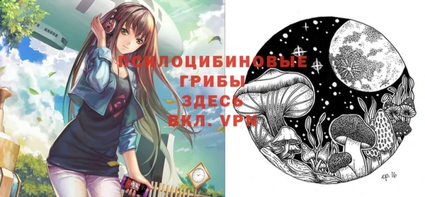 спиды Алексеевка